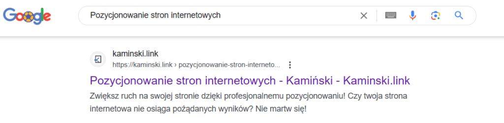pozycjonowanie-stron-internetowych-kaminski-link-oferta