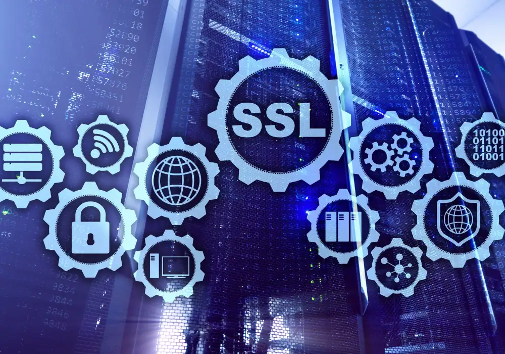 administracja stron internetowych - diagnostyka