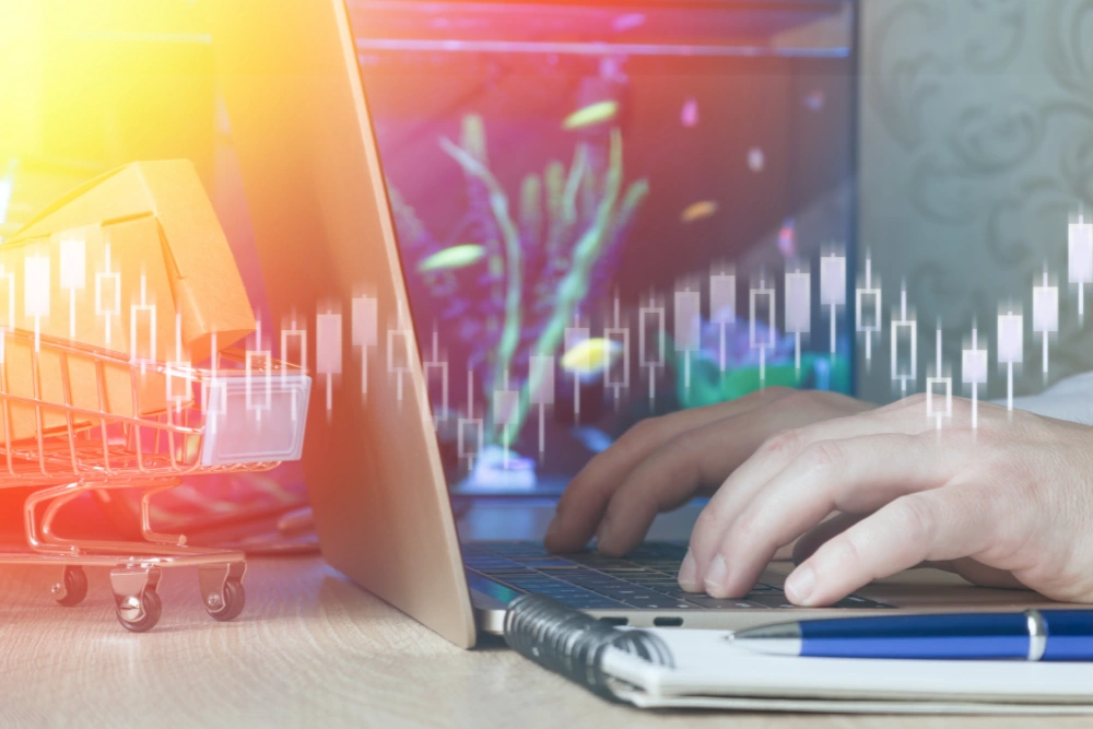 dotacje na sklep internetowy